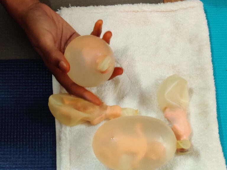 Professional Trainings (7-1)